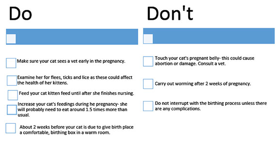 What To Do When Your Pregnant 88